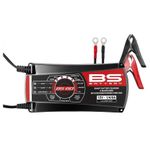  BS60 (Acid battery) Charger