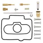  Carburetor Repair Kit Carburateurreparatieset