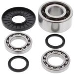  Front Differential bearings and seals kit