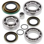  Rear Can Am Differential bearings and seals kit