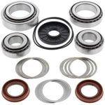  Rear Differential bearings and seals kit