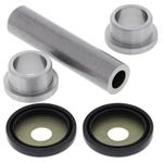  King Pin Differential bearings and seals kit