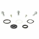 Kit reconditionnement robinet d'essence carburant
