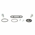 Kit reconditionnement robinet d'essence carburant