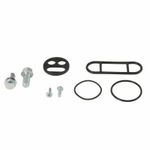 Kit reconditionnement robinet d'essence carburant