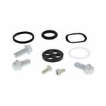 Kit reconditionnement robinet d'essence carburant