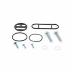 Kit reconditionnement robinet d'essence carburant