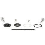 Kit reconditionnement robinet d'essence carburant - type rivet