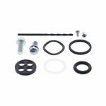 Kit reconditionnement robinet d'essence carburant - type rivet