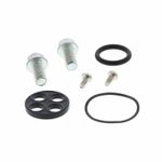Kit reconditionnement robinet d'essence carburant