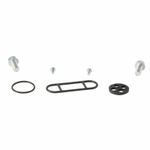 Kit reconditionnement robinet d'essence carburant