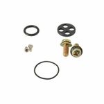 Kit reconditionnement robinet d'essence carburant