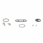 Kit reconditionnement robinet d'essence carburant