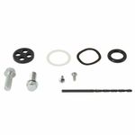 Kit reconditionnement robinet d'essence carburant - type rivet