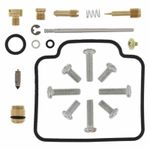 Kit réparation de carburateur 1153665