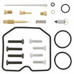 Kit réparation de carburateur 1153726