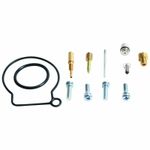 Kit réparation de carburateur 1153738