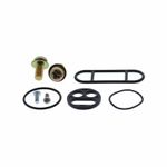 Kit reconditionnement robinet d'essence carburant