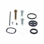 Kit reconditionnement robinet d'essence carburant - type rivet