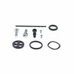 Kit reconditionnement robinet d'essence carburant - type rivet