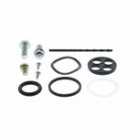 Kit reconditionnement robinet d'essence carburant - type rivet