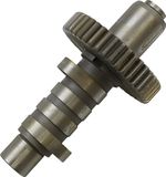 Arbre à cames DS199320