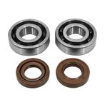 Kit roulements et joints de vilebrequin 50 A BOITE K2 TPI