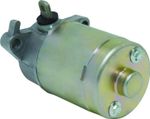 Démarreur 21101191
