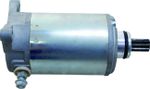 Démarreur 21101244