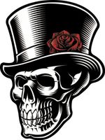 Protège réservoir Graphismes