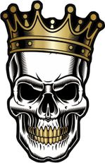 Protège réservoir Graphismes