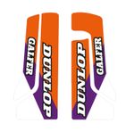  Dream 5 protections Sheet of stickers