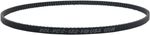 Courroie de transmission 12040232