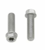 Kit de Parafusos Vis cabeça hexagonal Torx M8x1,25x30mm 10 peças