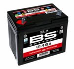  SLA Accu Onderhoudsvrij af fabriek geactiveerd - U1 9 Batterij