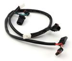  Plug-&-Play Rear T3 Wiring Adapter - Harley-Davidson Pan America 1250 Lichten