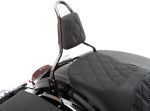  Back cushion Backrest