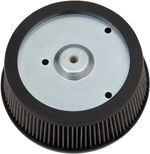 Filtre à air 10114223