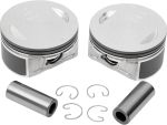 09110019 Piston kit