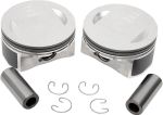 09110023 Piston kit