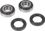  A251001 Wheel bearing kit + oil seals