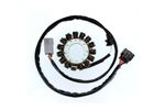  Stator ESG549 Zündungsstator