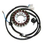  Stator ESG733 Zündungsstator