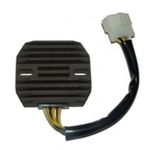  Regler ESR 263 ZX-6R Ninja (98-99) VN800 Elektronisches Gehäuse