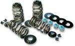 09261467 Valve spring kit