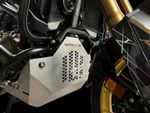  Titanium Motorbeskyttelse