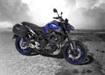 Support valises C-Bow - anthracite