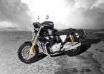 C-Bow - chrome Side case holder