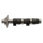 Albero a camme Camshaft - Stage 2