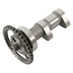  uitlaat Niveau 1 Nokkenas